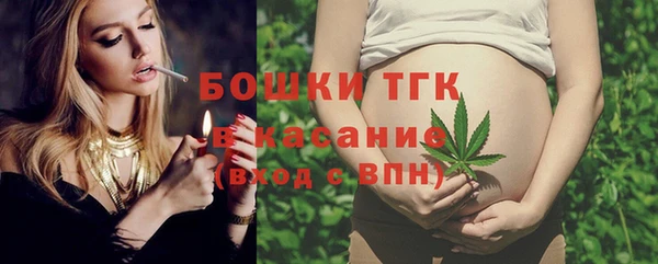 амф Бородино