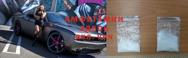 амф Бородино