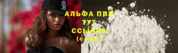 амф Бородино
