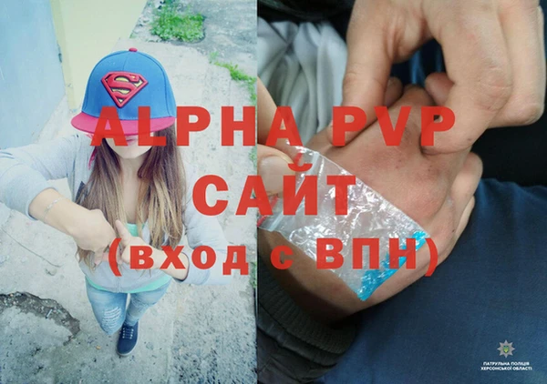 амф Бородино