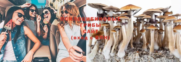 амф Бородино