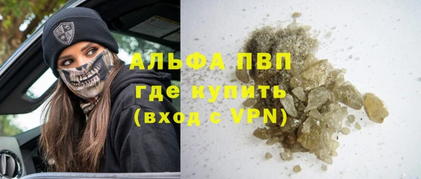 амф Бородино
